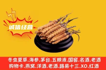 固原西吉县回收冬虫夏草